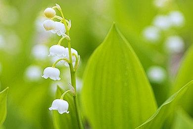 “佛州小丑”称《GTA6》侵犯肖像权 索赔200万美元